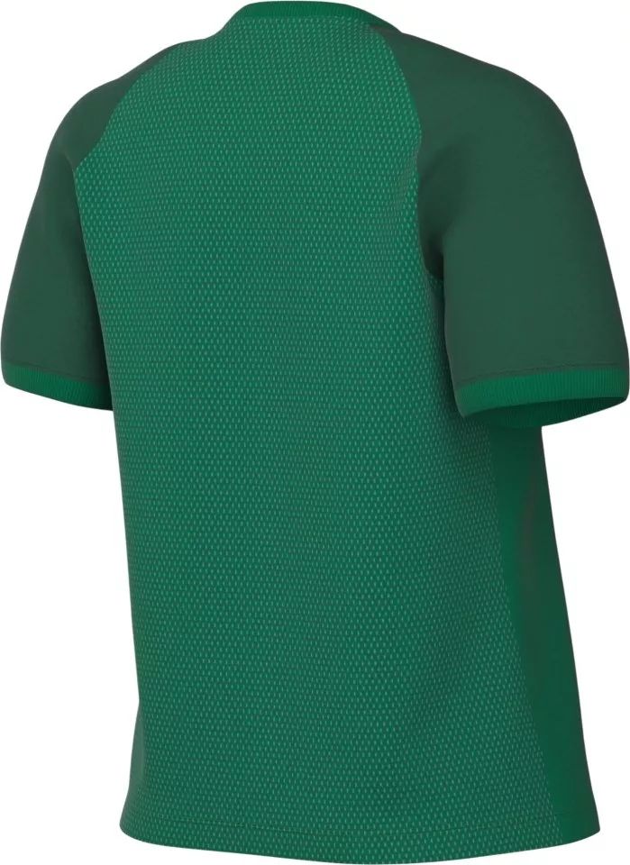 Camisa Nike Dri-FIT Trophy VI Women