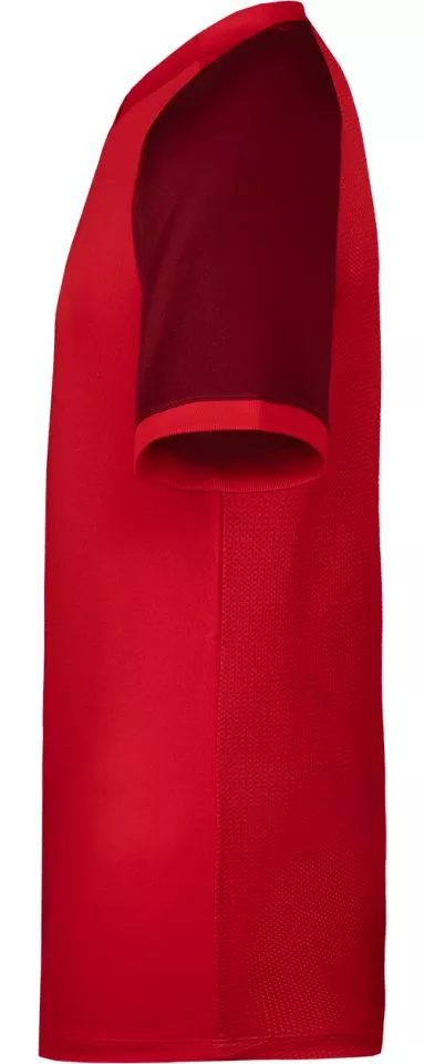 Nike Dri-FIT Trophy VI Póló