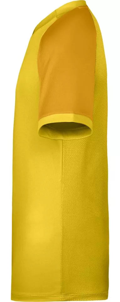 Nike Dri-FIT Trophy VI Póló
