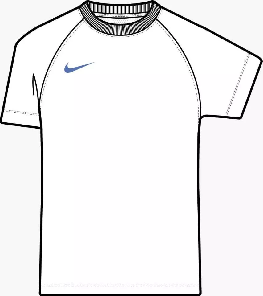 Tröja Nike Dri-FIT Park VIII