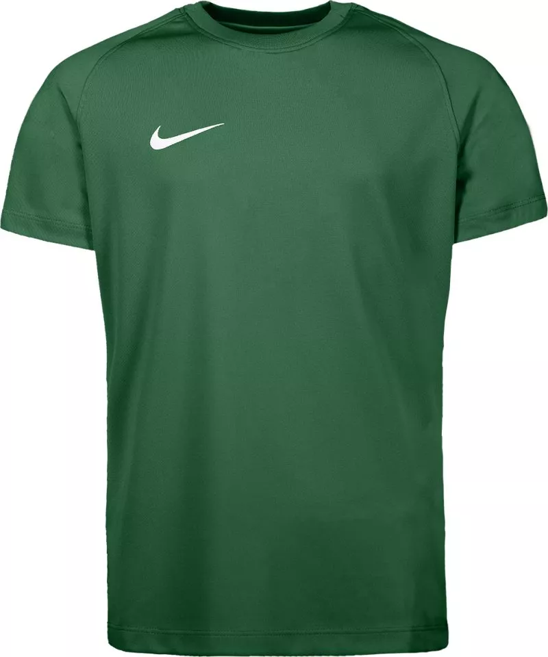 Jersey Nike Dri-FIT Park VIII Kids