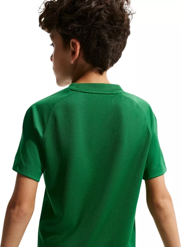 Jersey Nike Dri-FIT Park VIII Kids