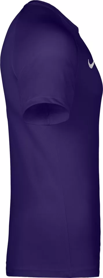 Camiseta de fútbol Nike Dri-FIT Park VIII Kids