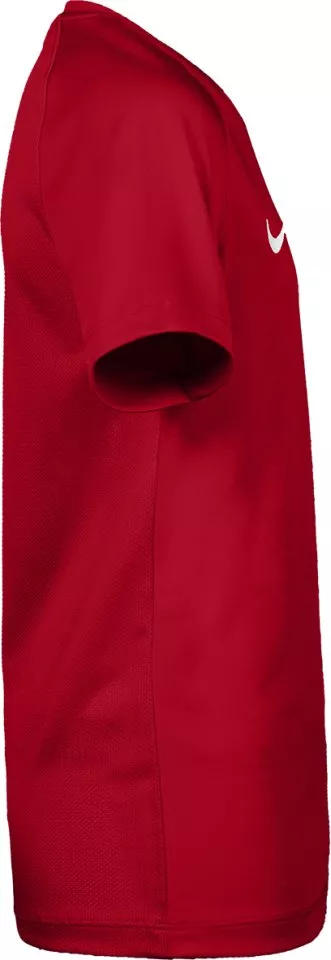 Camiseta de fútbol Nike Dri-FIT Park VIII Kids