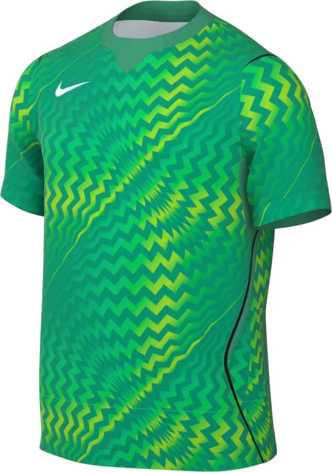 Dres Nike Dri-FIT Gardien VI Goalkeeper