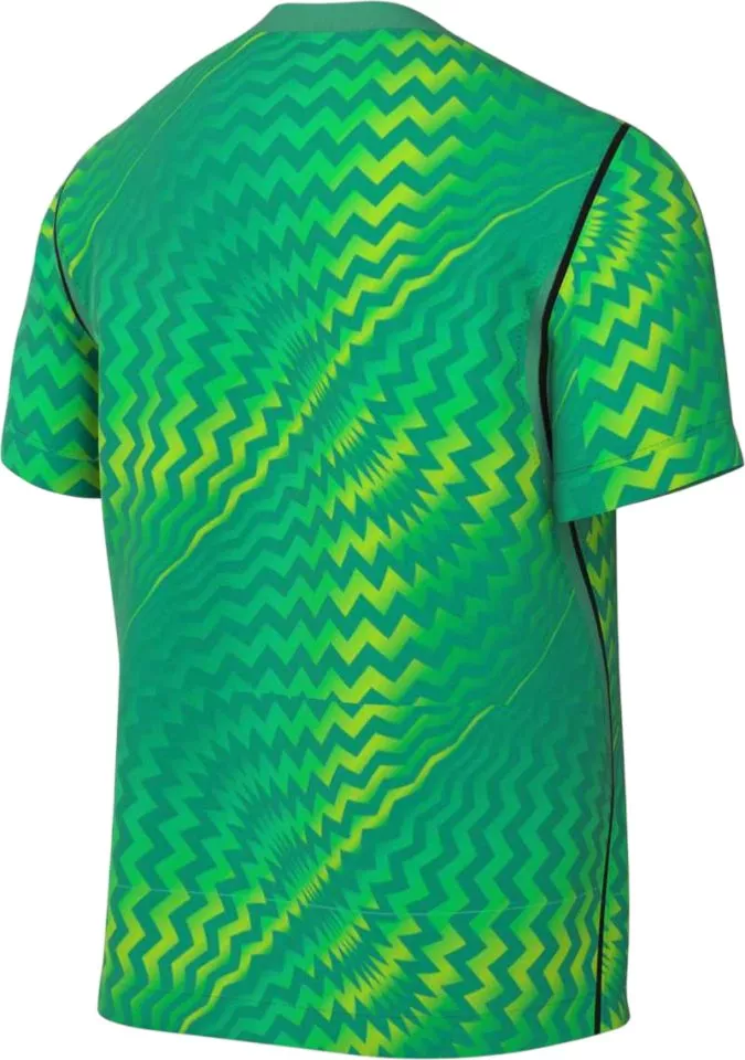 Dres Nike Dri-FIT Gardien VI Goalkeeper