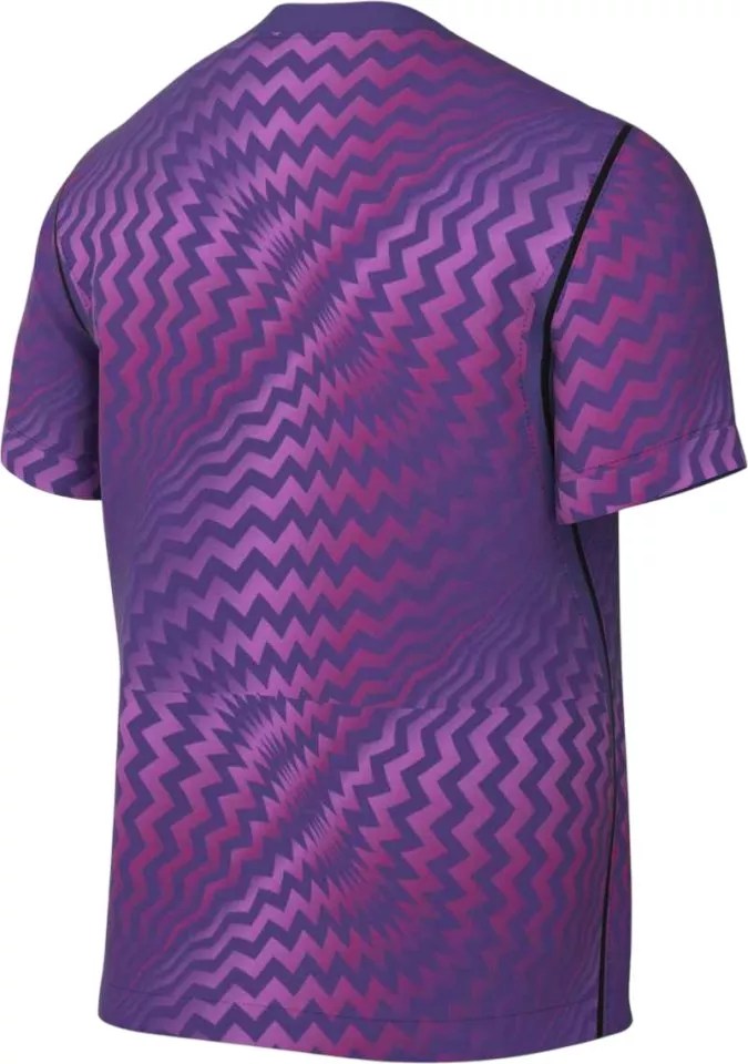 Dres Nike Dri-FIT Gardien VI Goalkeeper