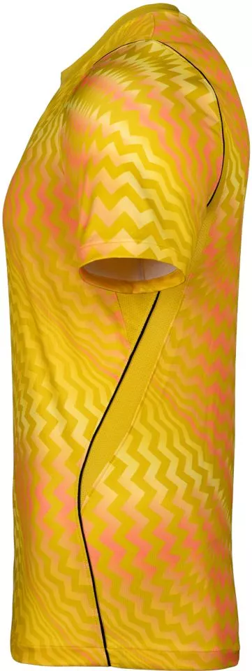 Bluza Nike  Dri-FIT Gardien VI Goalkeeper