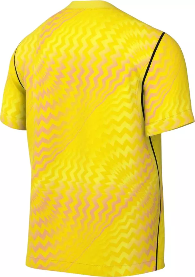 Dres Nike Dri-FIT Gardien VI Goalkeeper