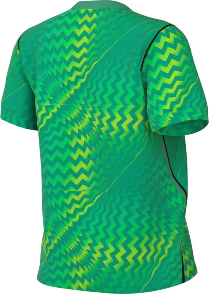 Nike Dri-FIT Gardien VI Goalkeeper Women Póló