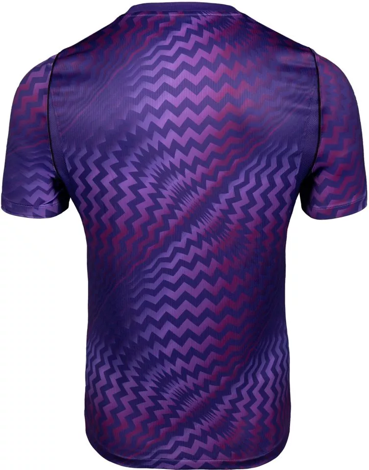 Bluza Nike  Dri-FIT Gardien VI Goalkeeper Women