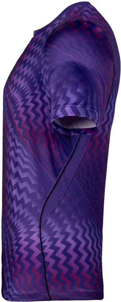 Bluza Nike  Dri-FIT Gardien VI Goalkeeper Women