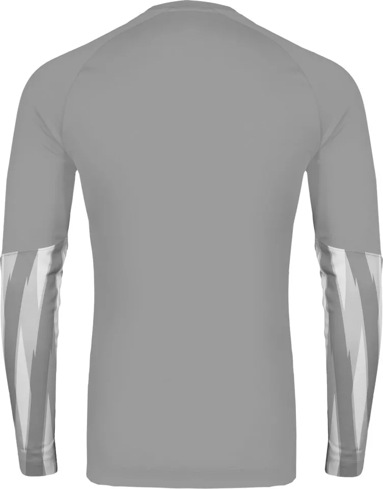 Риза с дълги ръкави Nike Dri-FIT Park V Long Sleeve Goalkeeper