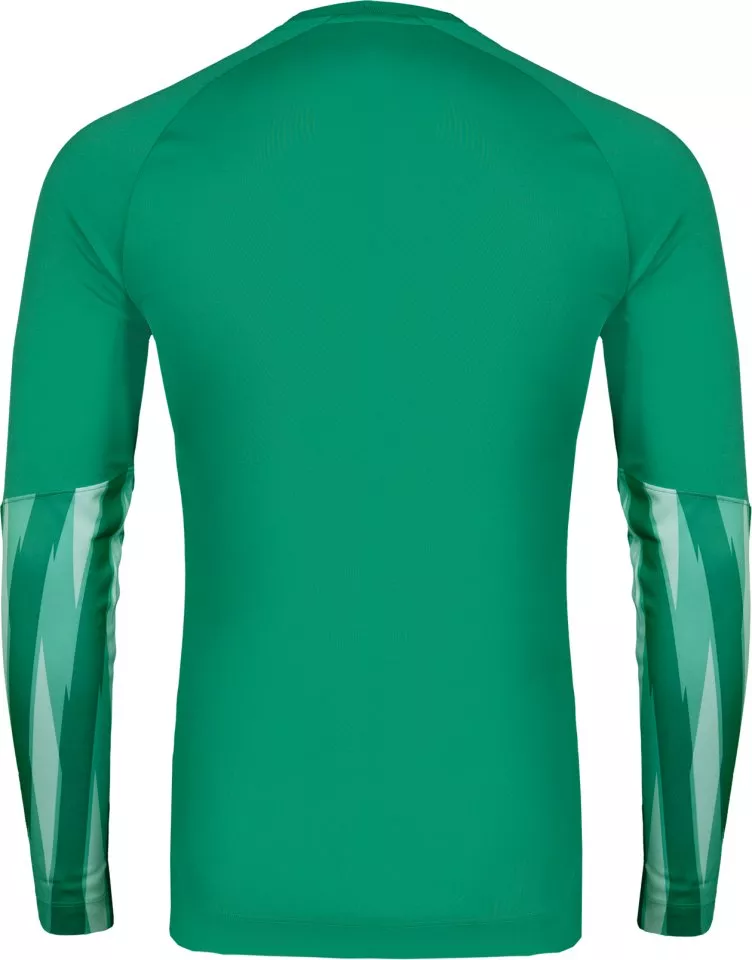Nike Dri-FIT Park V Long Sleeve Goalkeeper Hosszú ujjú mez