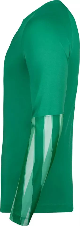 Nike Dri-FIT Park V Long Sleeve Goalkeeper Hosszú ujjú mez