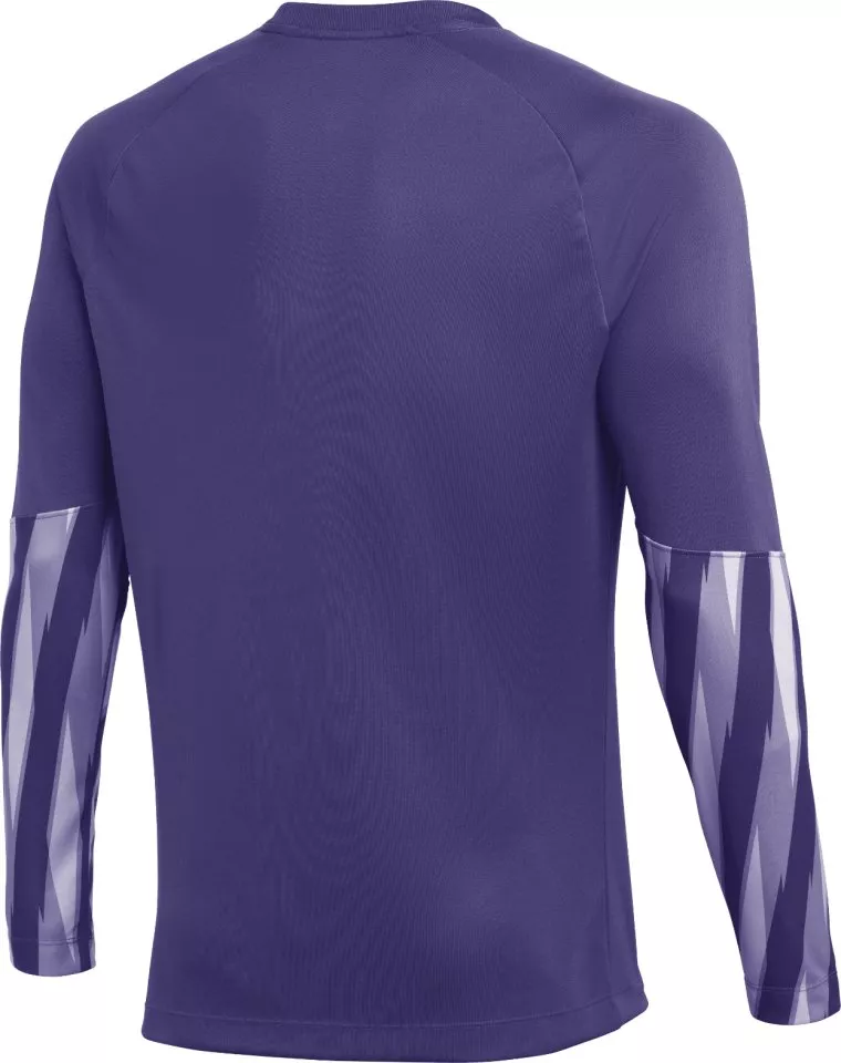 Nike Dri-FIT Park V Long Sleeve Goalkeeper Hosszú ujjú mez
