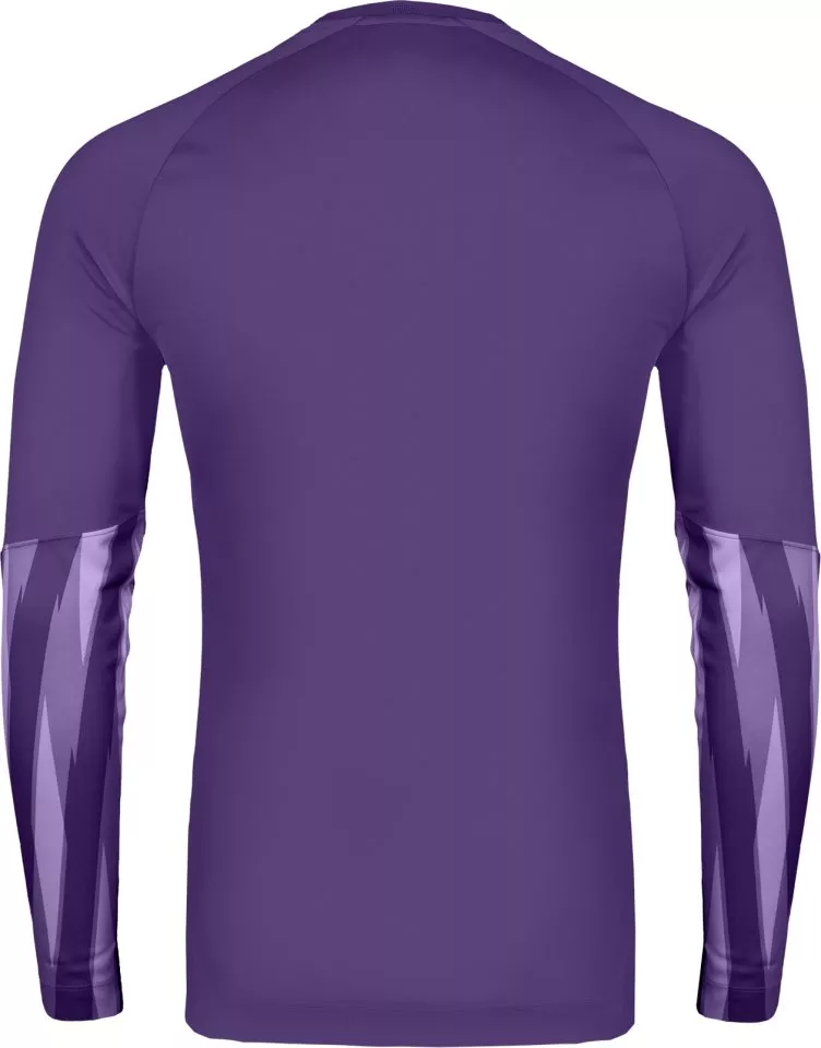 Nike Dri-FIT Park V Long Sleeve Goalkeeper Hosszú ujjú mez