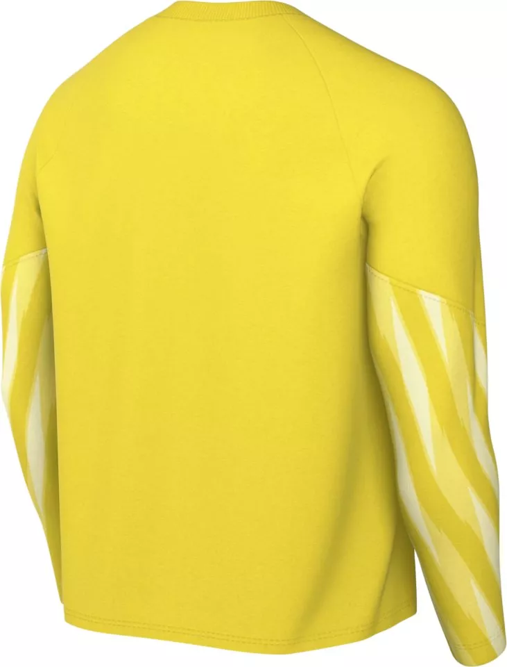 Риза с дълги ръкави Nike Dri-FIT Park V Long Sleeve Goalkeeper