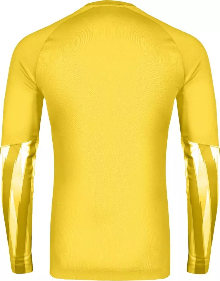 Риза с дълги ръкави Nike Dri-FIT Park V Long Sleeve Goalkeeper