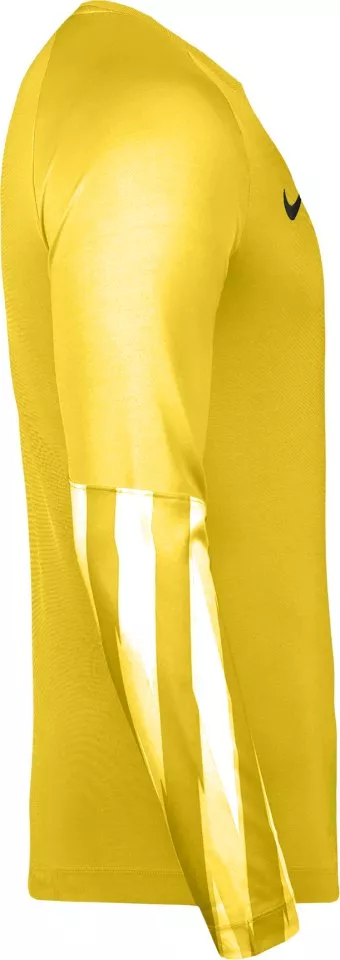 Риза с дълги ръкави Nike Dri-FIT Park V Long Sleeve Goalkeeper