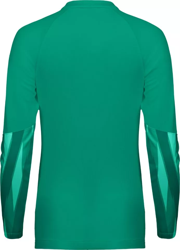 Koszulka z długim rękawem Nike Dri-FIT Park V Goalkeeper Long Sleeve Women