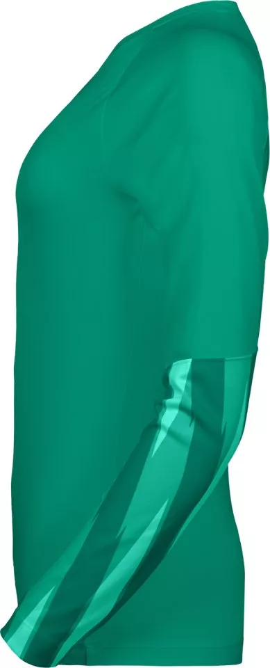 Koszulka z długim rękawem Nike Dri-FIT Park V Goalkeeper Long Sleeve Women