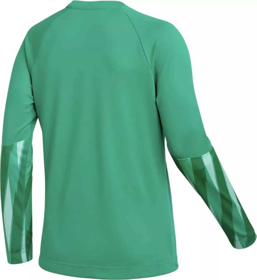 Koszulka z długim rękawem Nike Dri-FIT Park V Goalkeeper Long Sleeve Women