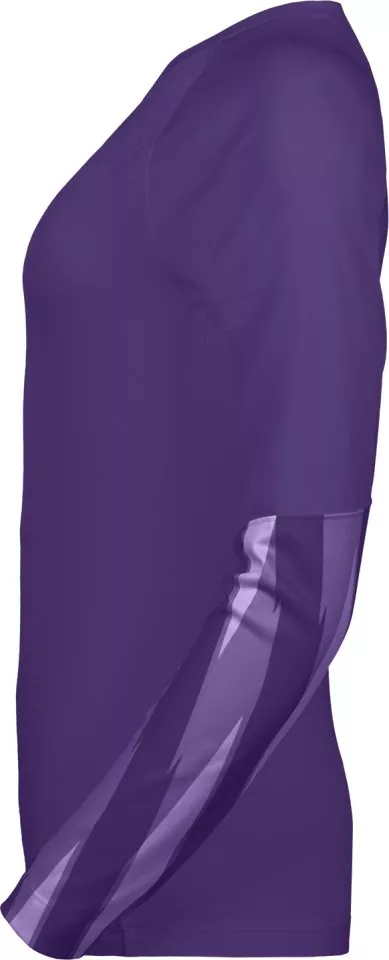 Nike Dri-FIT Park V Goalkeeper Long Sleeve Women Hosszú ujjú mez