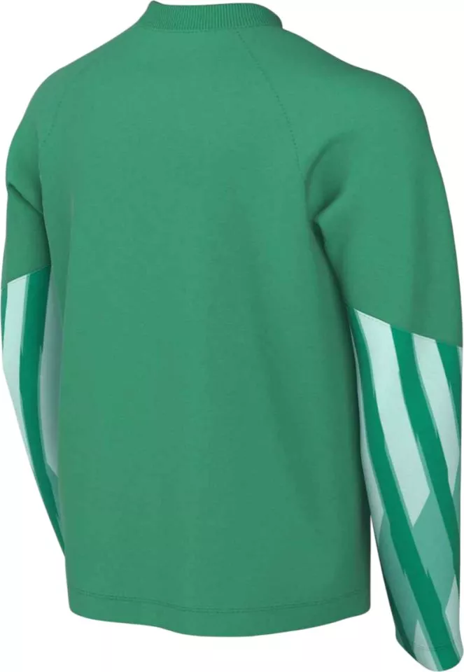 Dres z dolgimi rokavi Nike Dri-FIT Park V Long Sleeve Goalkeeper Kids