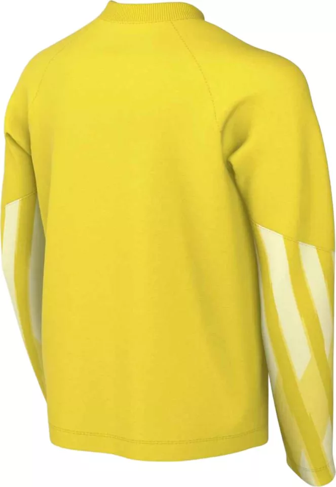 Koszulka z długim rękawem Nike Dri-FIT Park V Long Sleeve Goalkeeper Kids