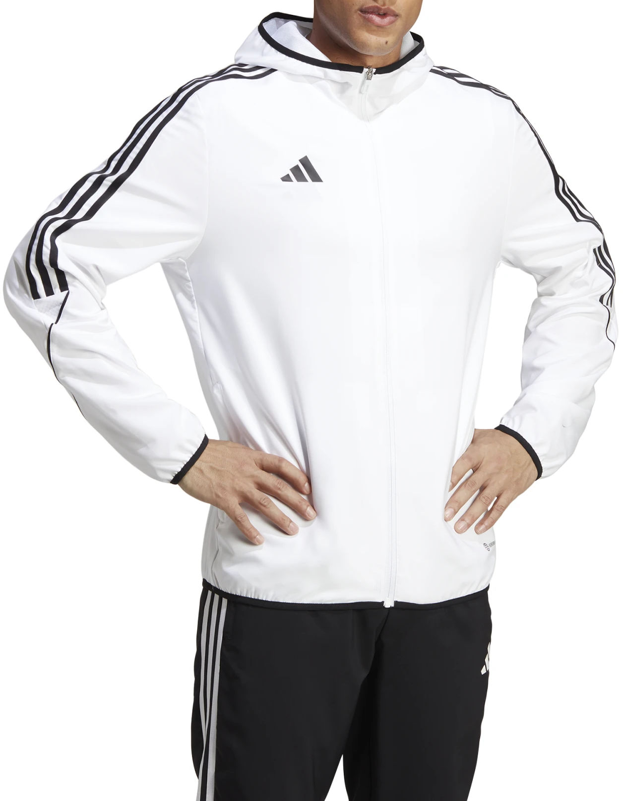 Chaqueta con capucha adidas TIRO23 L WB