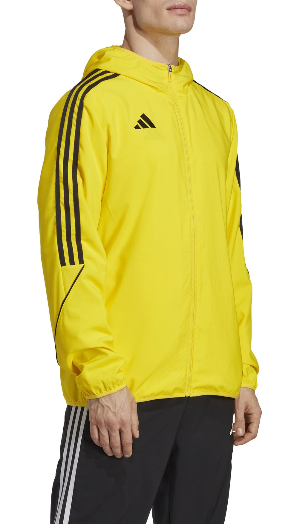 Chaqueta con capucha adidas TIRO23 L WB