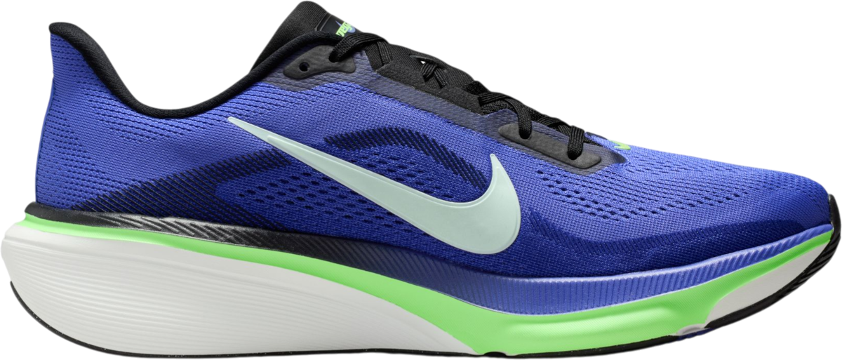 nike-pegasus-42-1090315-ib1873