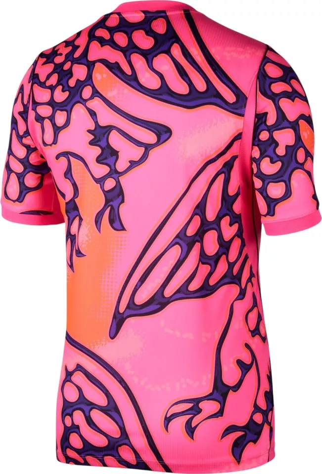 Bluza Nike Dri-FIT Nigeria Stadium Goalkeeper 2026