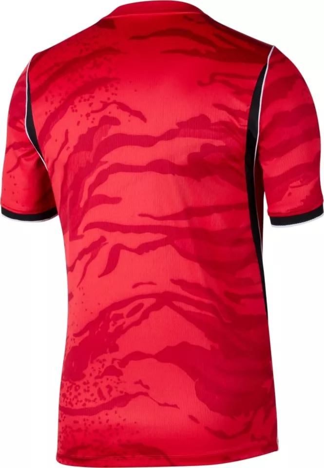 Риза Nike Dri-FIT South Korea Stadium Home 2026