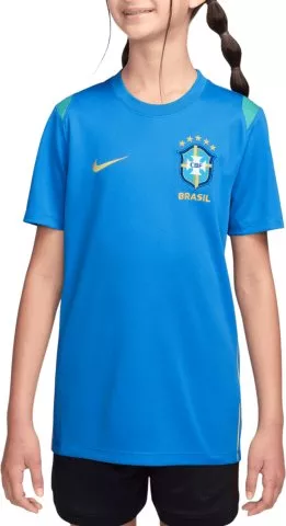 Dri-FIT Brazil Academy Pro 2026 Kids