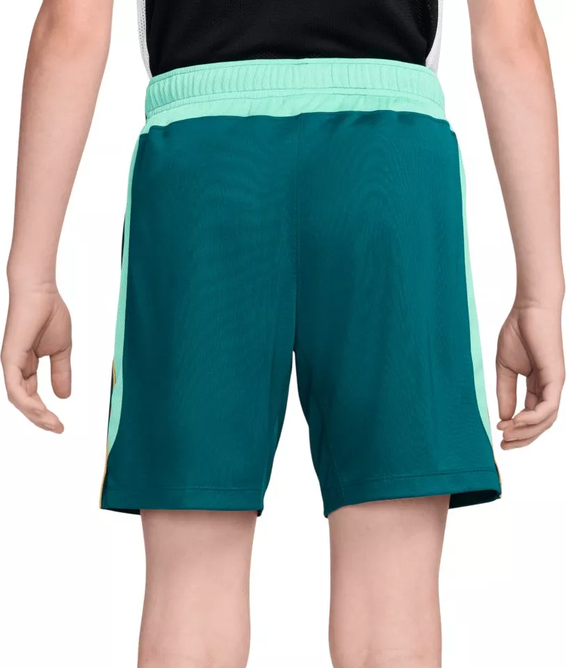 Shorts Nike Dri-FIT Brazil Academy Pro Kids