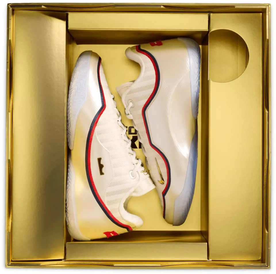 Παπούτσια μπάσκετ Nike LeBron XXIII