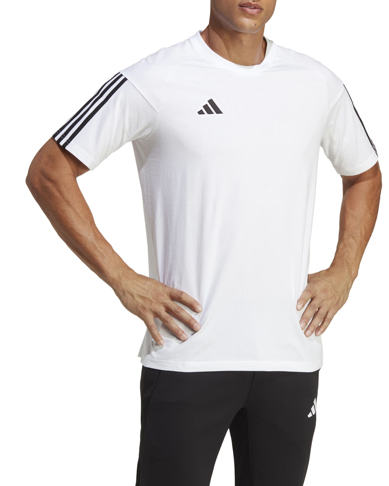 adidas TIRO23 C CO TEE Rövid ujjú póló