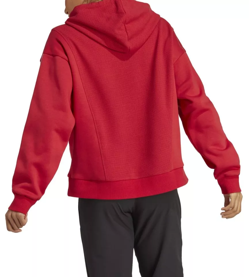 Sweatshirt com capuz adidas TIRO 23 C CO HDW