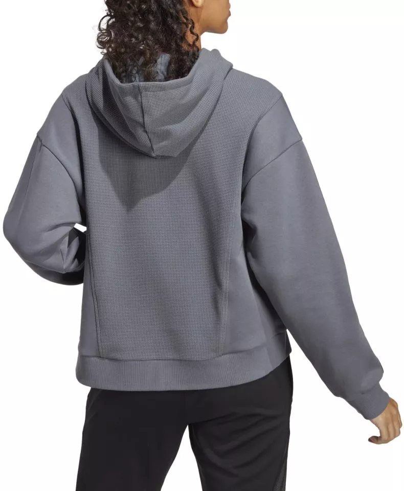 Sweatshirt met capuchon adidas TIRO 23 C CO HDW