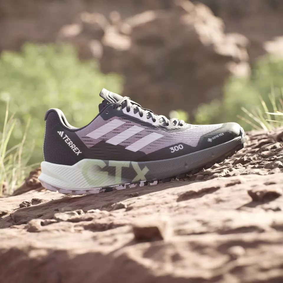 Παπούτσια Trail adidas TERREX AGRAVIC FLOW 2 GTX W