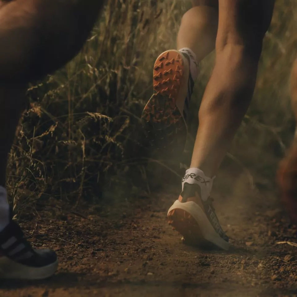Dámské trailové boty adidas Terrex Agravic Speed