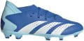 adidas predator accuracy 3 fg j 664138 ie9503 120