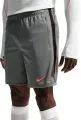 Siva