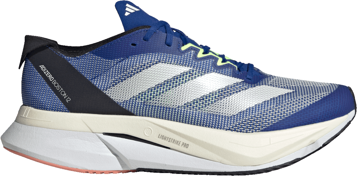 Laufschuhe adidas ADIZERO BOSTON 12 W