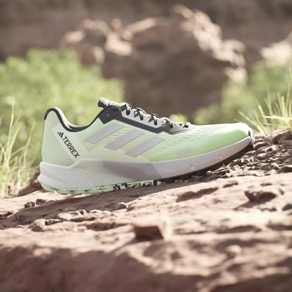 Pánská trailová obuv adidas Terrex Agravic Flow 2