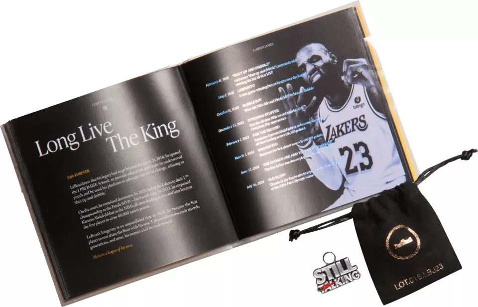 Zapatos de baloncesto Nike LeBron XXII