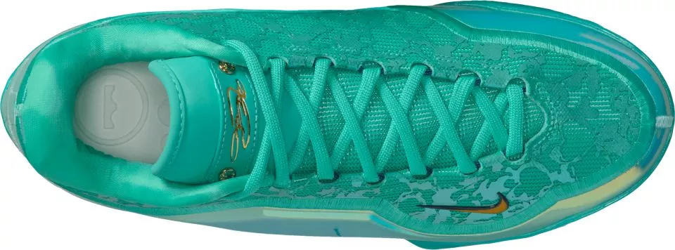 Basketball sko Nike LeBron XXII
