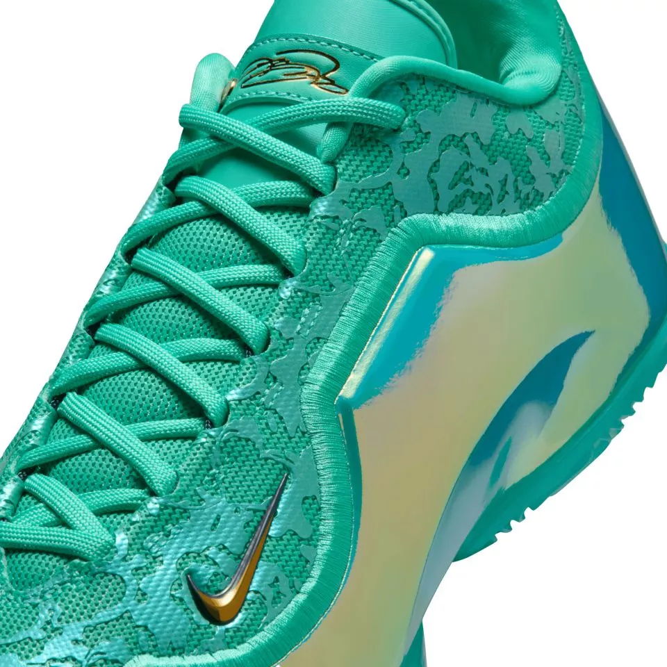 Basketball sko Nike LeBron XXII